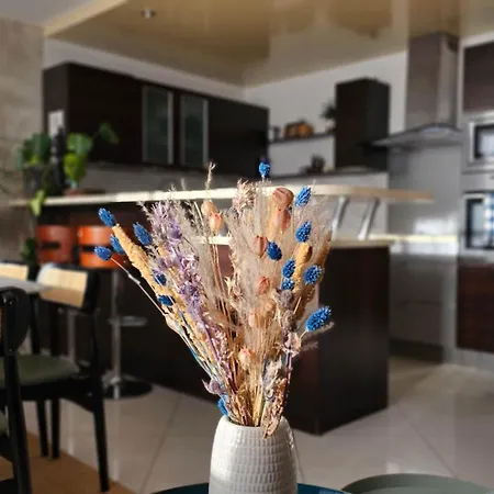 Appartamento Beautiful&big For 8persons Parking Free *